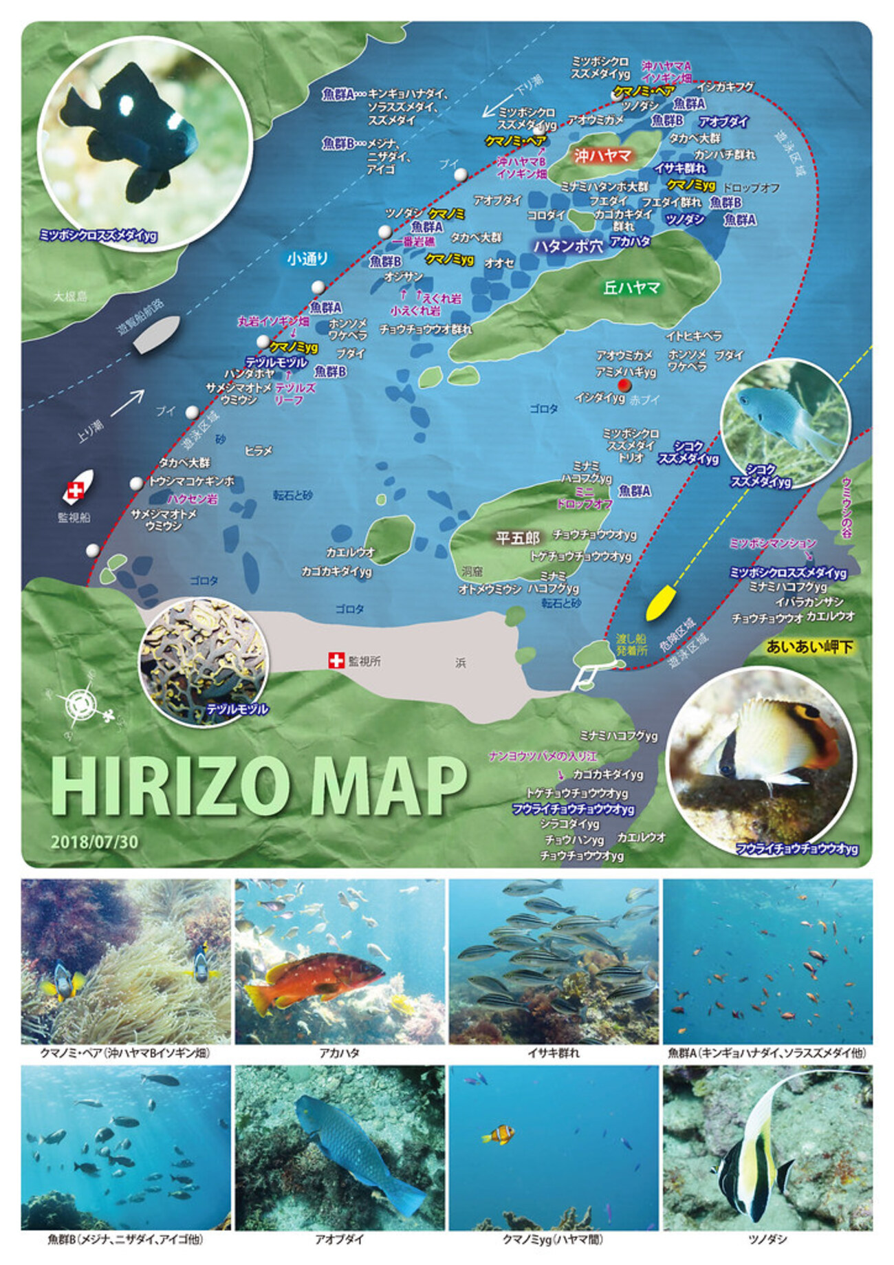 三浦・湘南・真鶴パーフェクト地磯ガイド (BIG1 161) | 海悠出版 |本 |