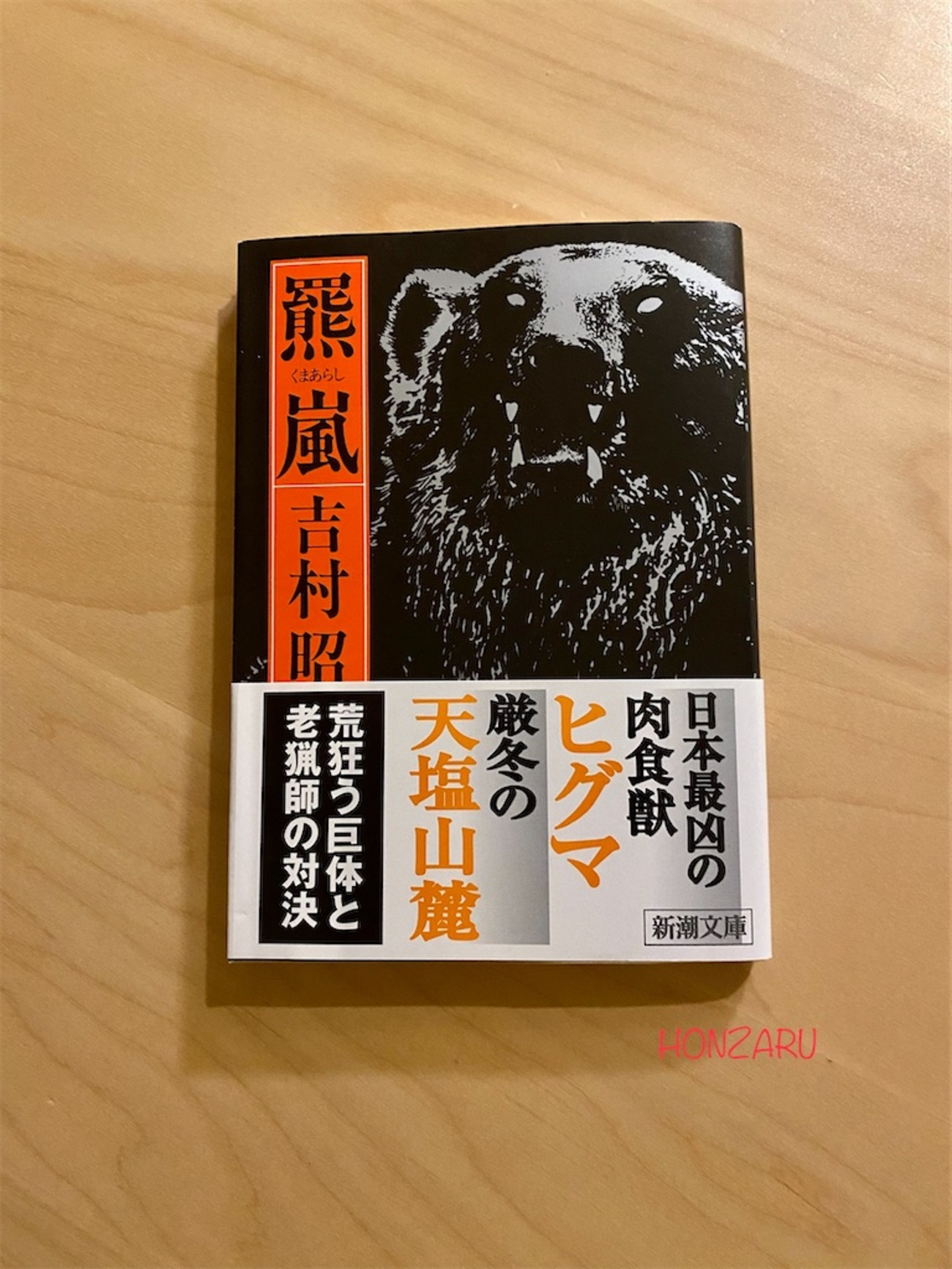 羆嵐』吉村昭｜クマによる被害がよくニュースになるこの頃 - 書に耽る 
