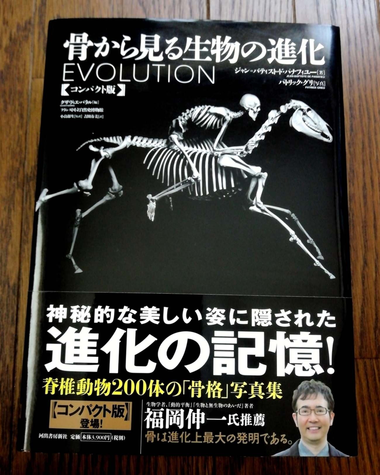 骨から見る生物の進化　　大型本 Amazon.co.jp: 骨から見る生物の進化【普及版】 : J・ド