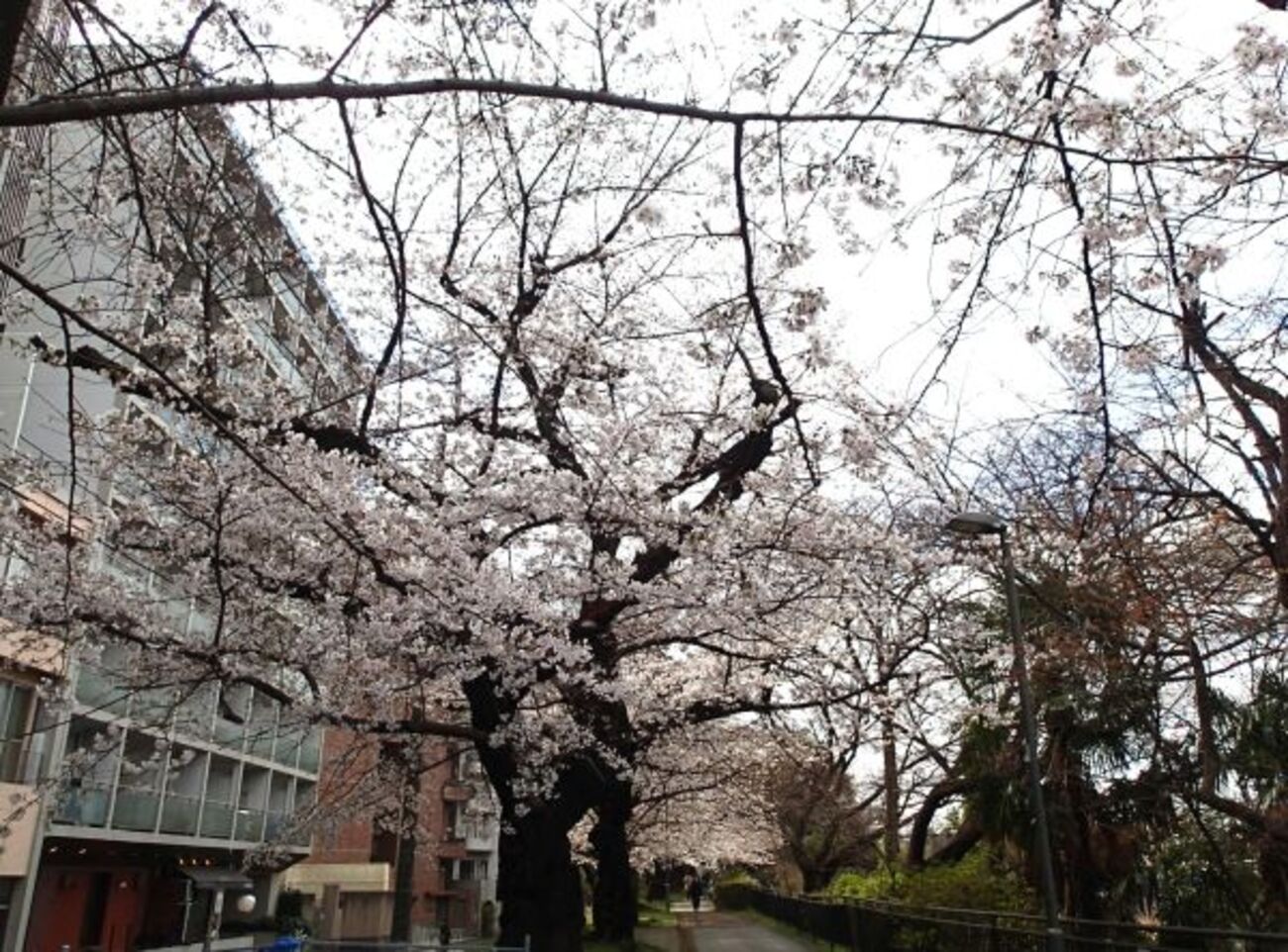 外濠公園 - 58の気の向くまま日記帳