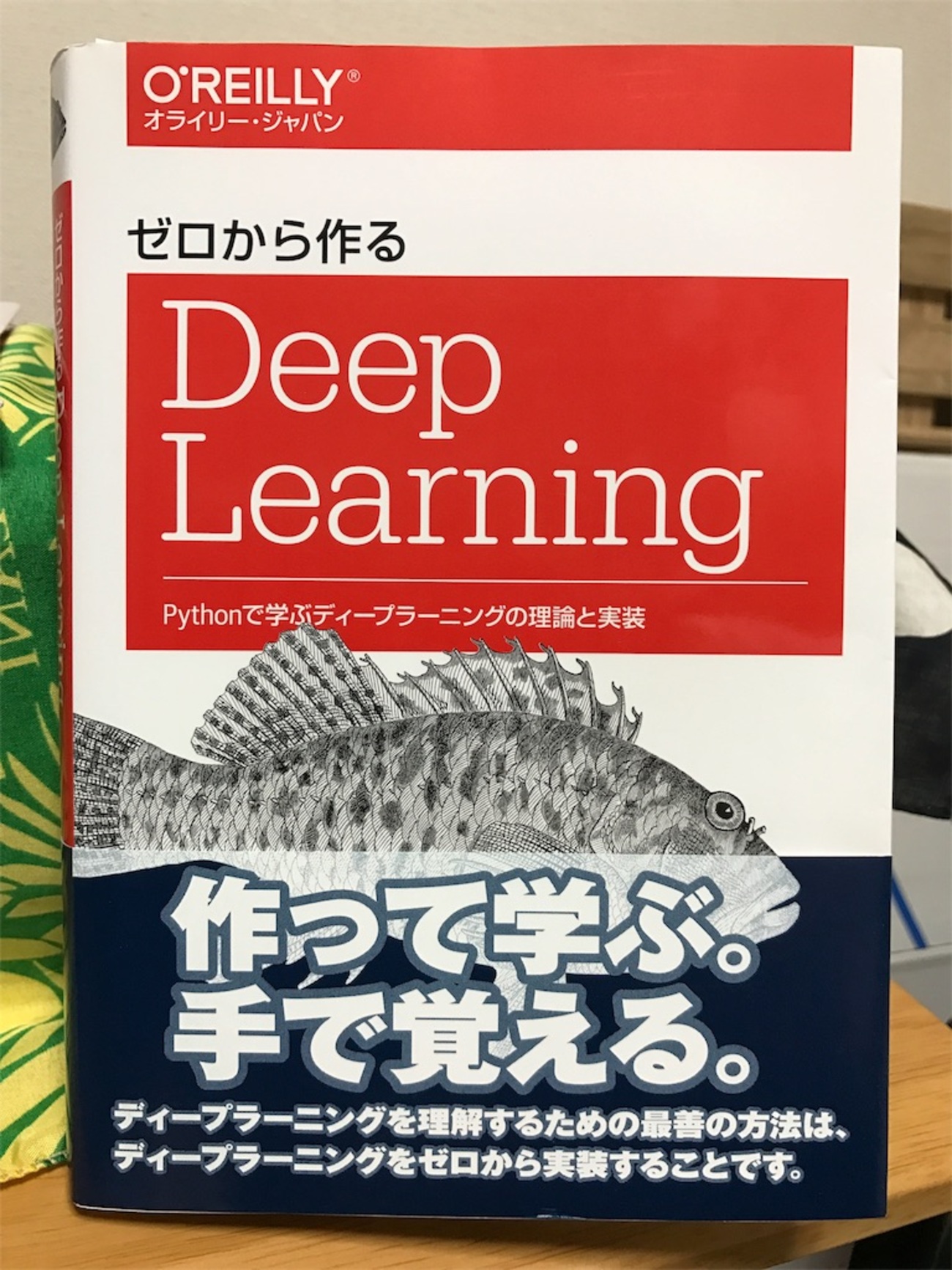 ［セット販売］ゼロから作るDeep Learning 1-3 4月新刊情報『ゼロから作るDeep Learning ➃』 - O'Reilly Japan
