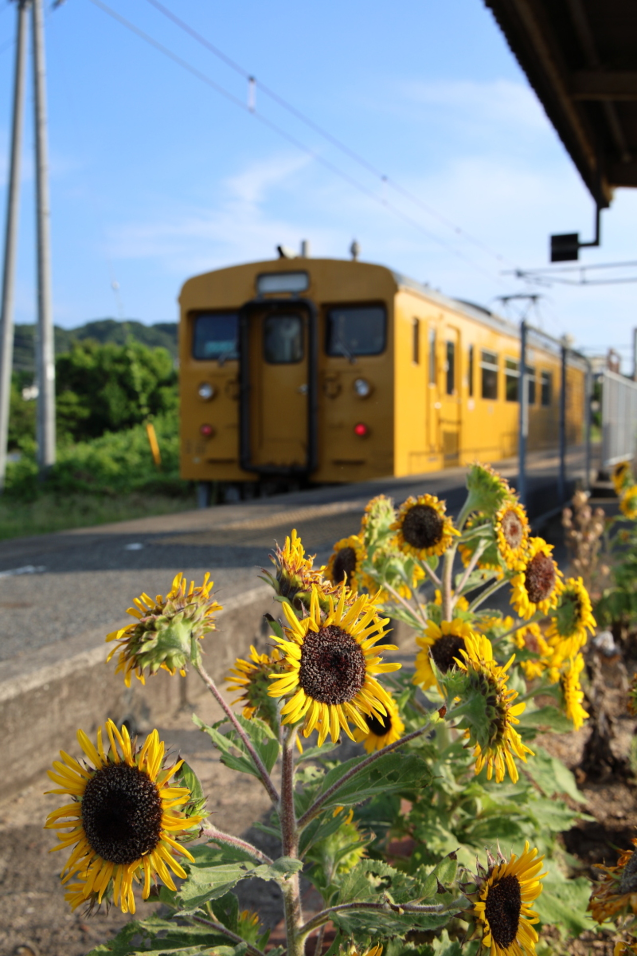 2年越しの長門本山駅探訪 2024年 夏休み遠征㉑ - 川崎鶴見鉄道録