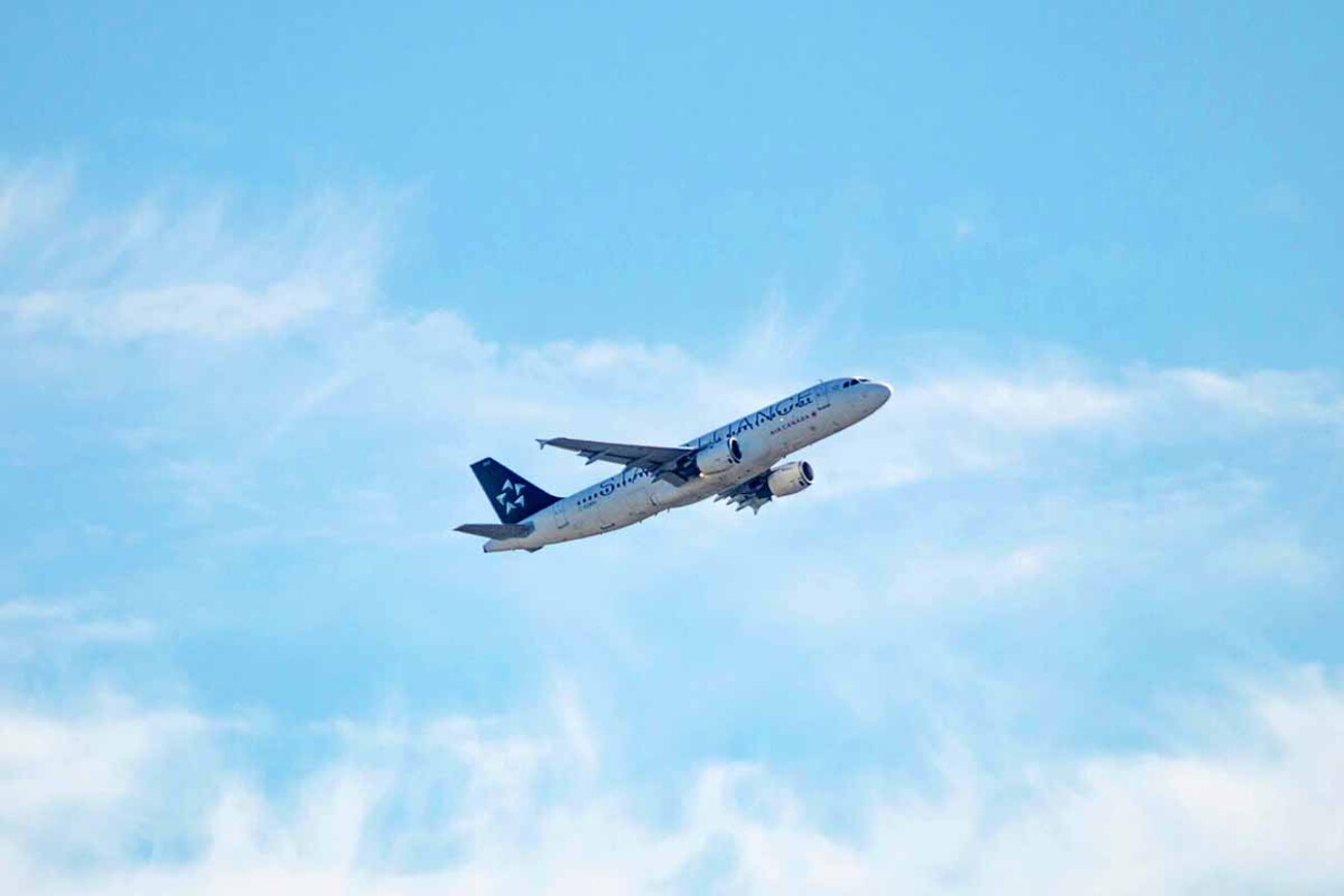 日本の航空会社2026最新比較！大手2社・中堅・LCCの違いと選び方を徹底解説