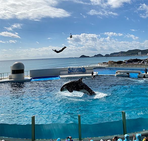 鴨川シーワールドとは 動植物の人気 最新記事を集めました はてな