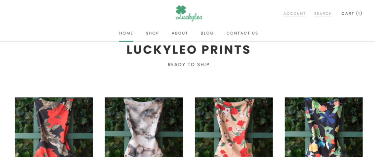 Luckyleo(ラッキーレオ)でレオタードを買ってみた - 大人から始める 