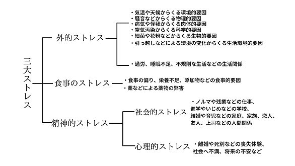スクナヒコナとは 一般の人気 最新記事を集めました はてな