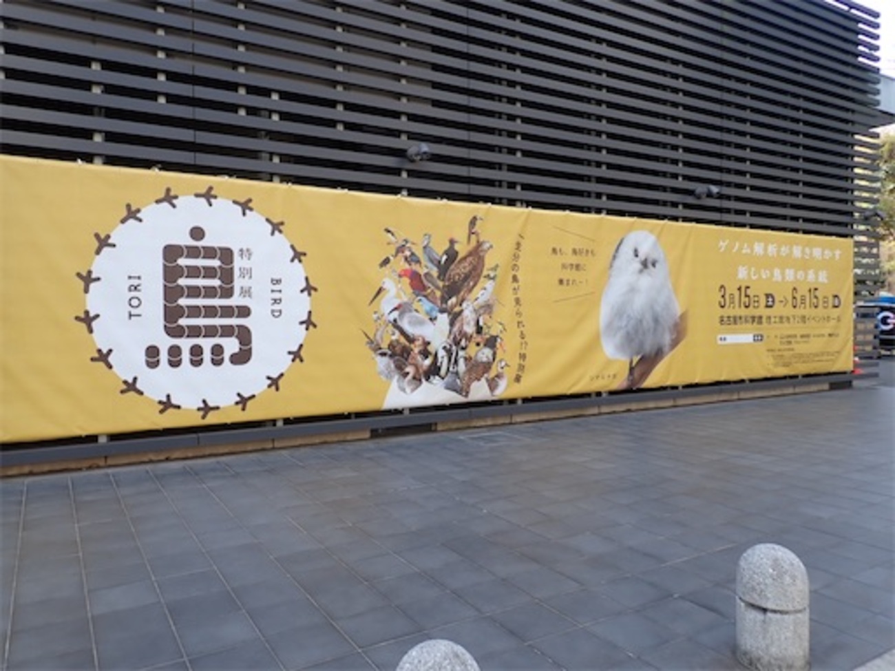 3/31-4/6 目に見える形で残す、トリオで鳥展