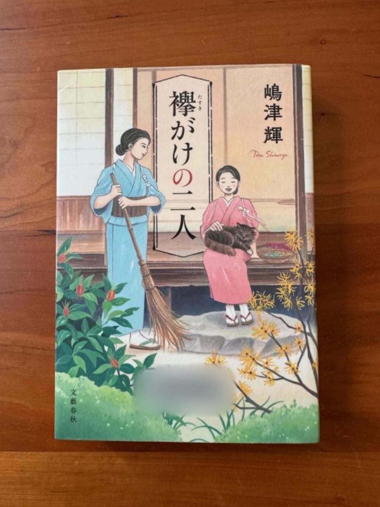 直木賞候補】【嶋津輝】『襷掛けの二人』｜ある女性の半生 - happyの