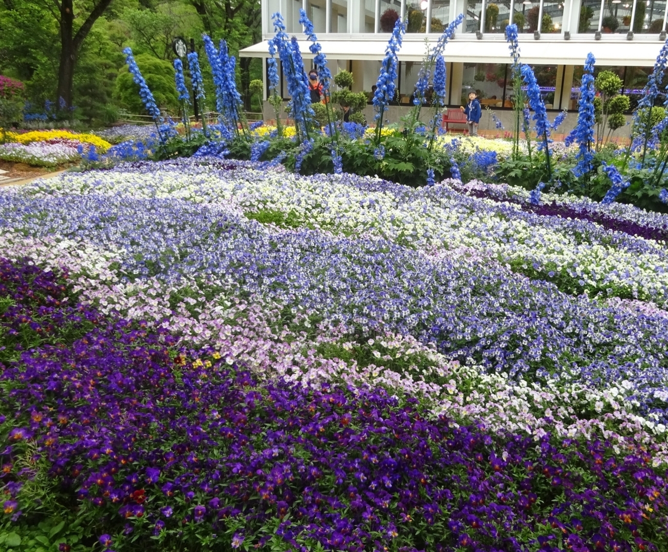 慌てずに待ちましょう - dancingbrave1986のブログ