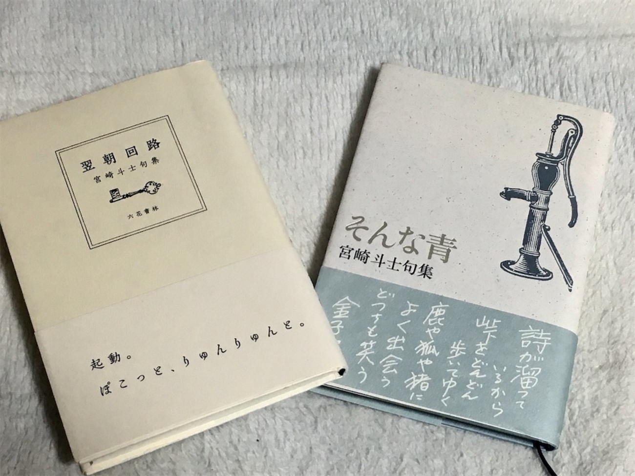 芝不器男俳句新人賞について① 〜私が賞に対して考えたこと〜 - あたま 