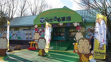 日光さる軍団とは アートの人気 最新記事を集めました はてな