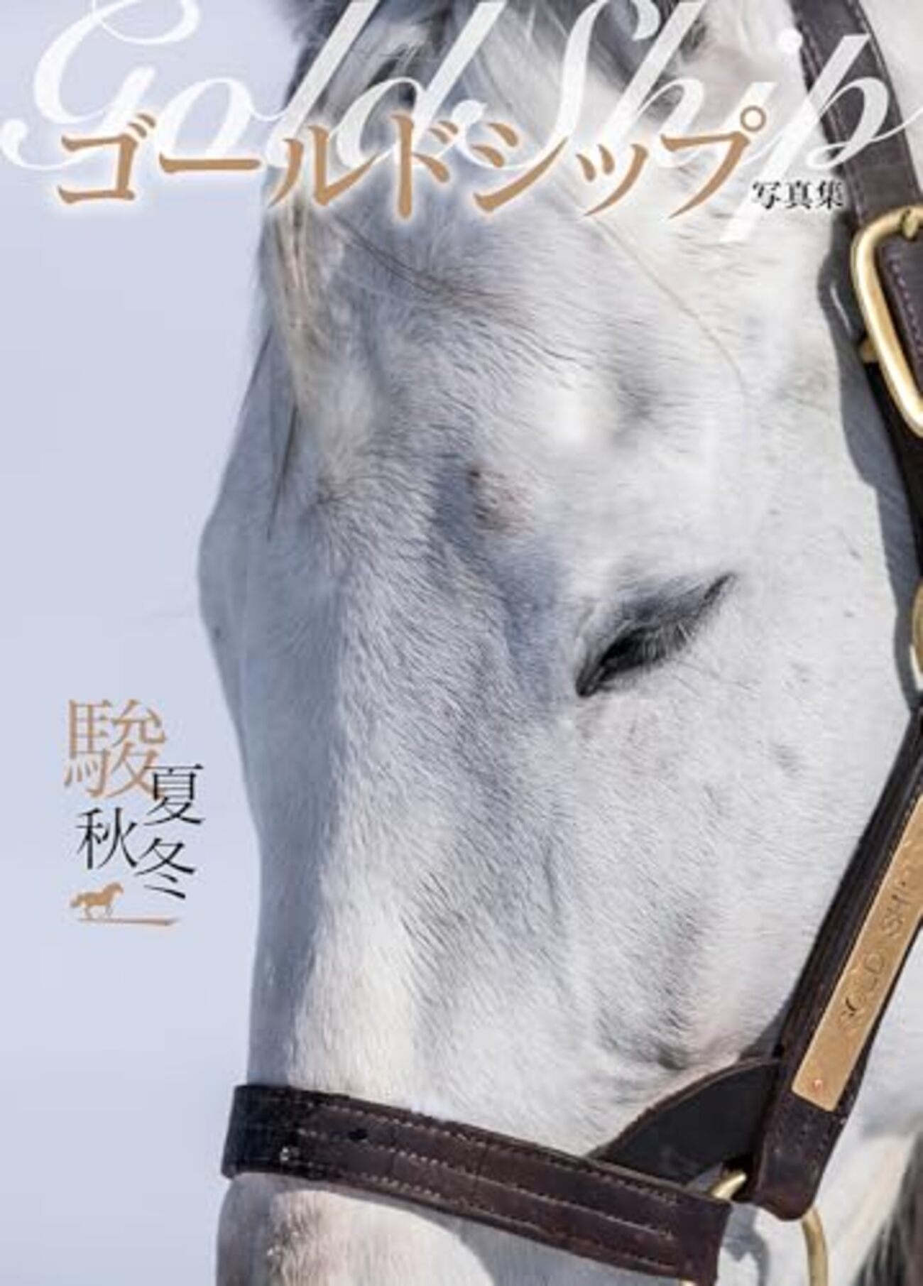 ※絶版　競馬DVD+写真集　ゴールドシップ（優駿特別編集）ウマ娘 ゴルシグッズ】ゴールドシップ写真集「駿夏秋冬」｜愛嬌のある姿を