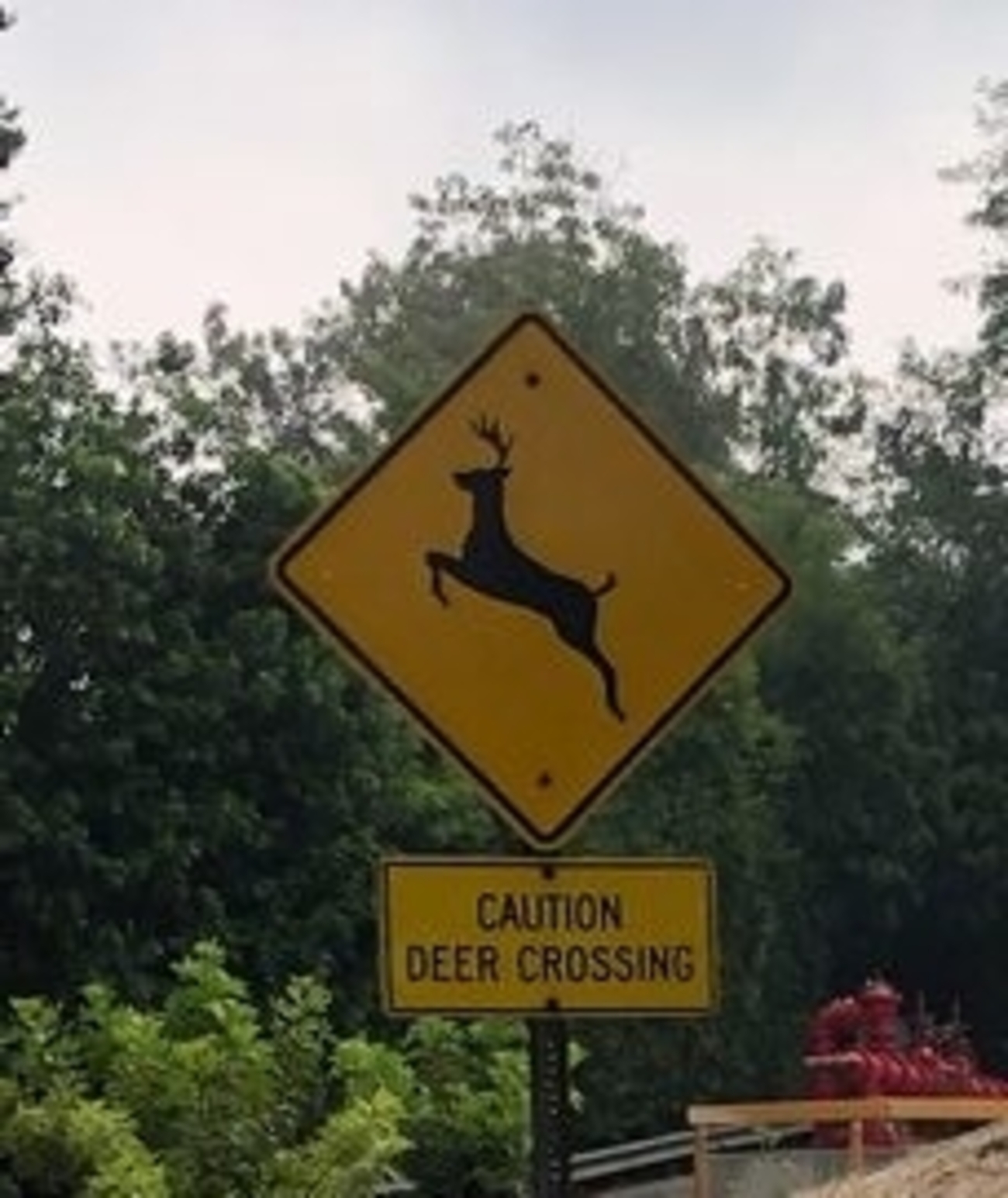 アメリカの道路標識 - コドモトUSA