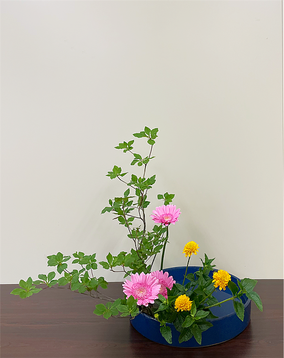 ドウダンツツジとは 動植物の人気 最新記事を集めました はてな