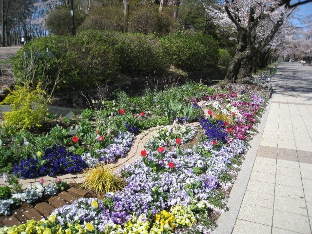 今日もサイクリング - 散歩の道すがら