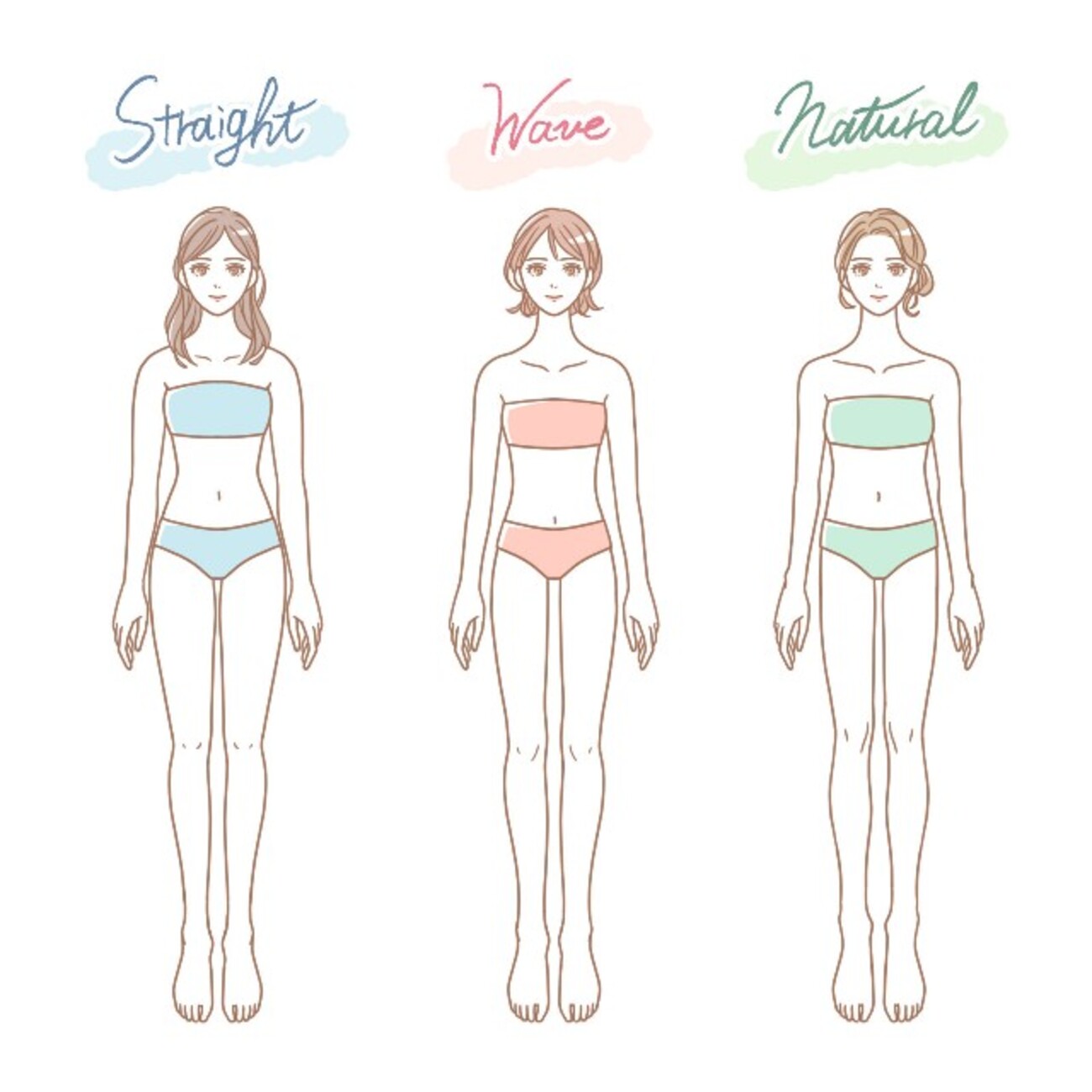 骨格3タイプよりもっと細かいことが知りたい - マサムネ（概念）の正夢