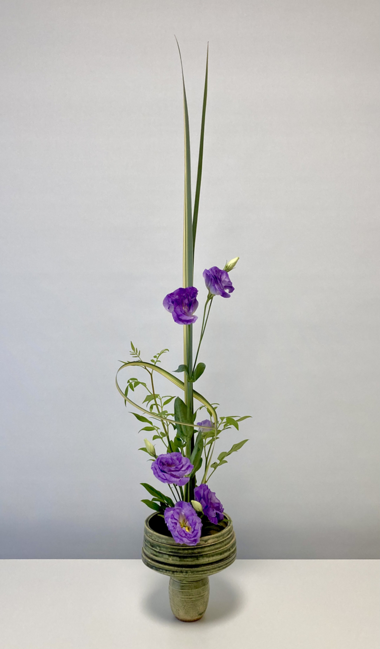 backend=imagemagick;version=1;