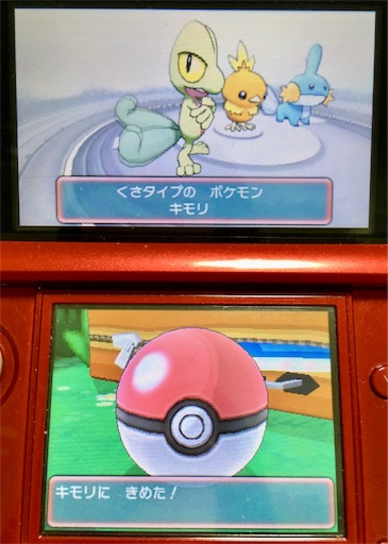 ポケットモンスターアルファサファイアを色違い御三家とクリアする 