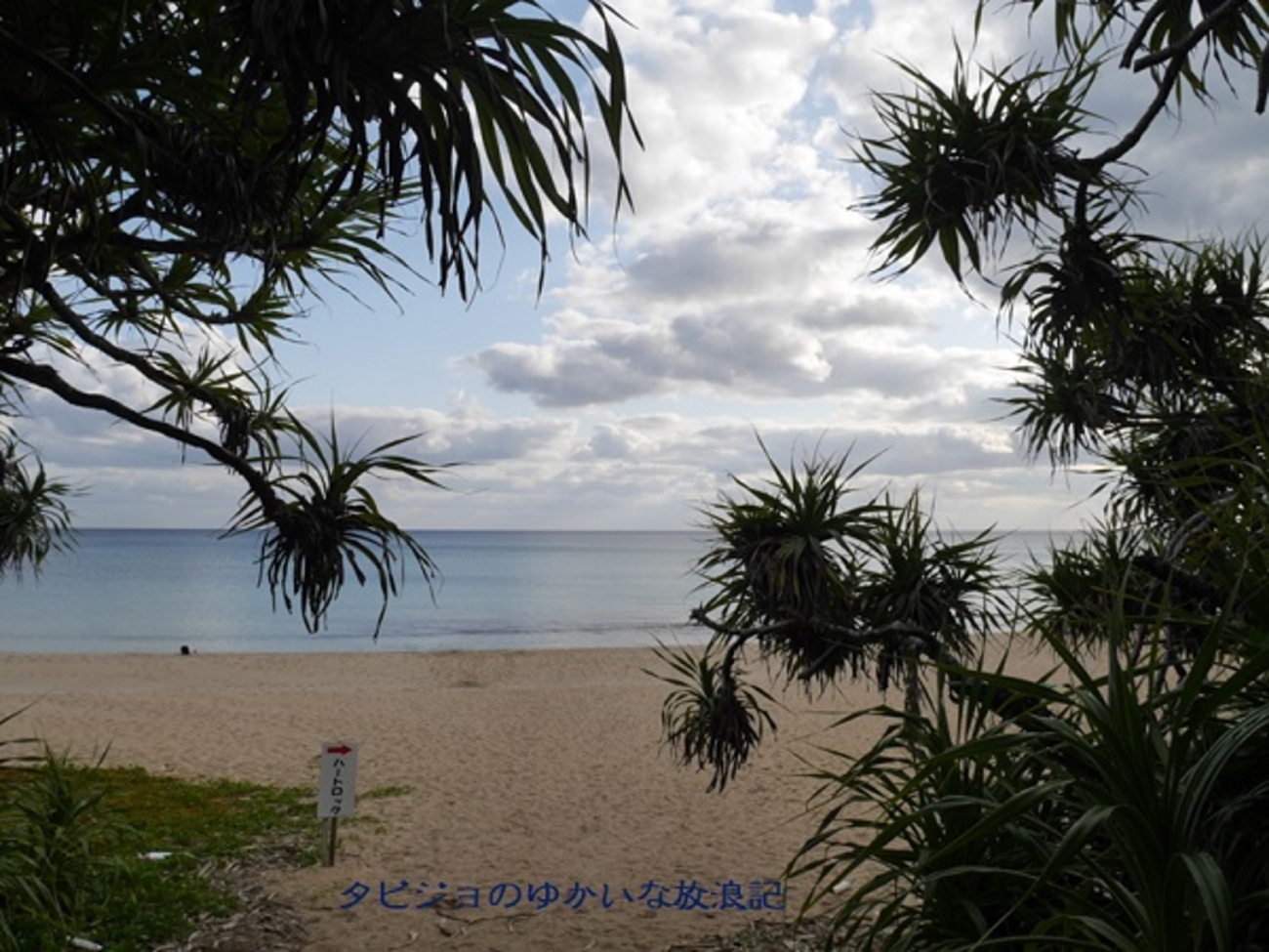 奄美大島】奄美大島のパワースポット「ハートロック」へ🎶 - タビジョ