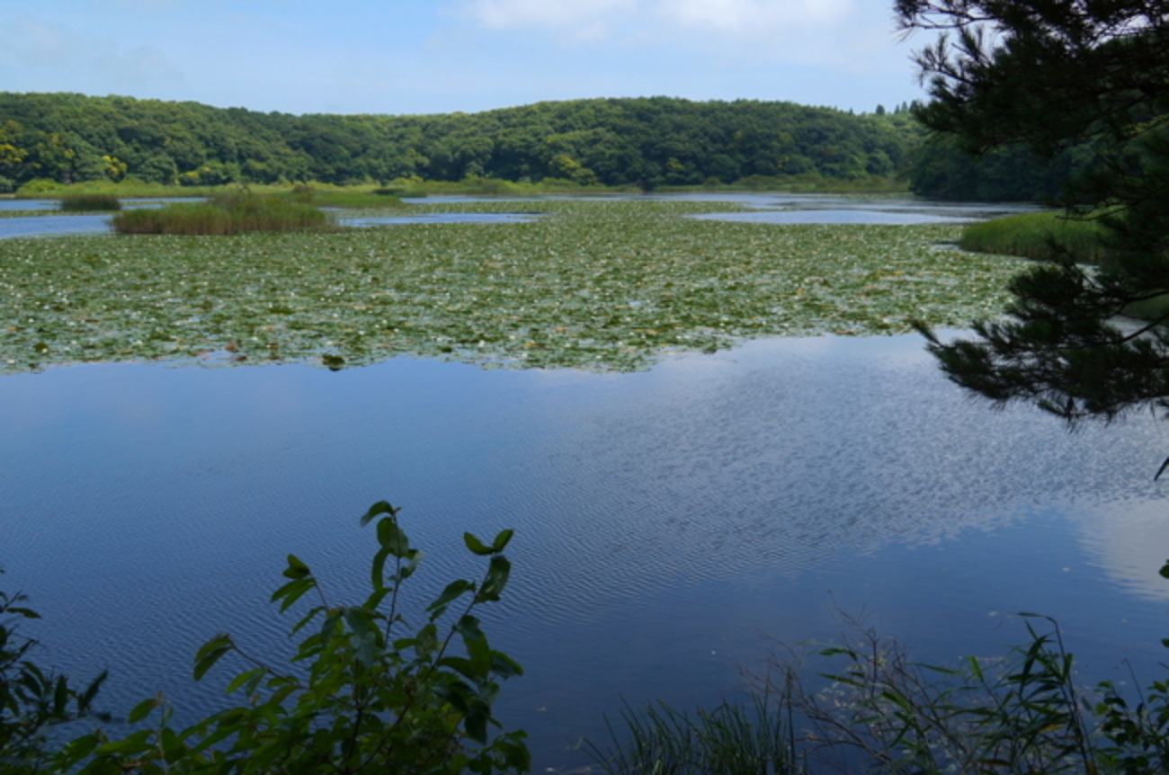 釣り　川　湖沼 菅沼 2024-7-13、中禅寺湖 2024-7-14 | TARATA FISHAWAY