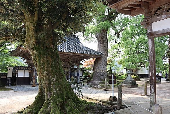 長沢芦雪とは アートの人気 最新記事を集めました はてな