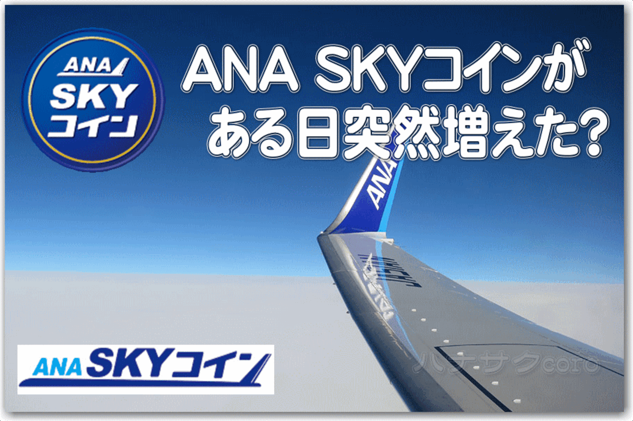 まったく身に覚えのない ANA SKYコインが、ある日、突然積算され…「？」悩む…「？？」ひたすら悩む…の巻 - 独りぼっちのお気楽マイル道 ANA  SFC 思想”たまには贅沢もいいじゃない？”