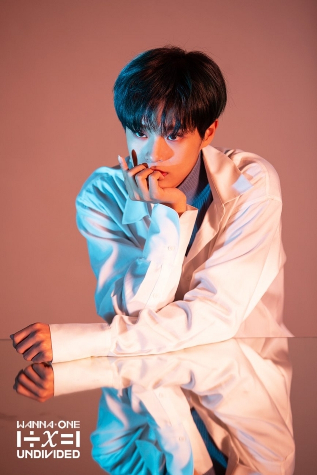 Wanna One 