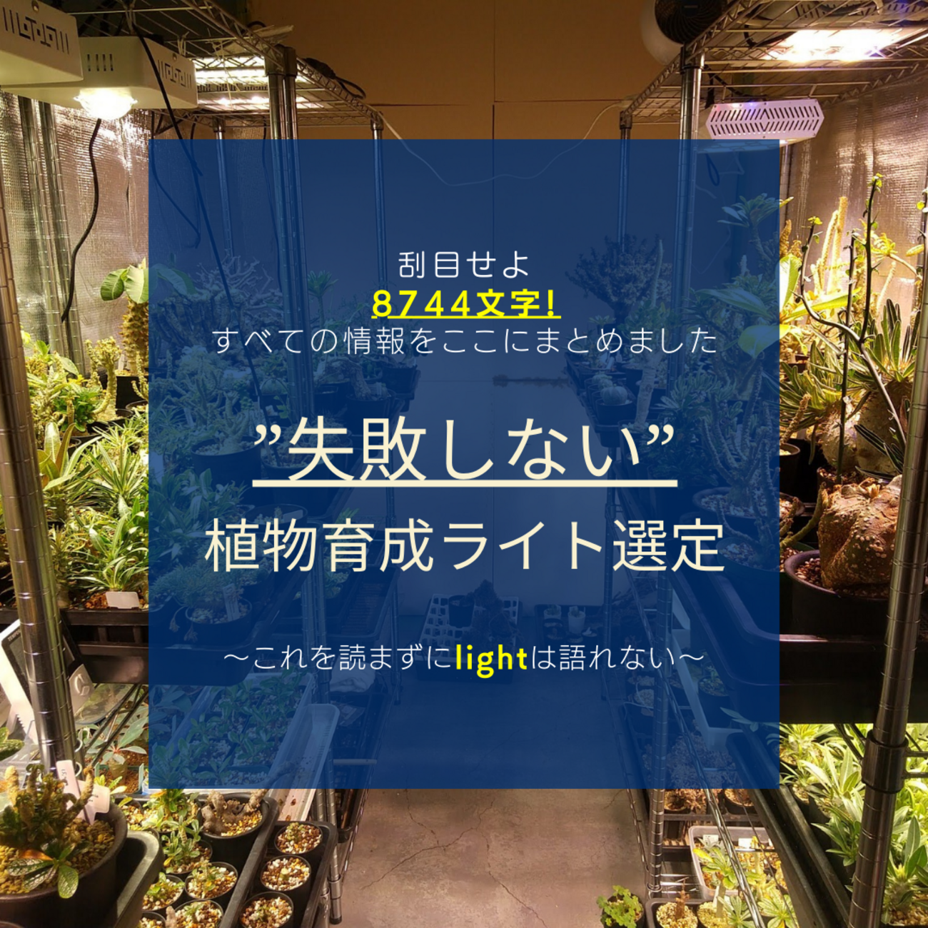 植物育成ライトを科学的に比較する方法 | アガベ・グラキリス - And Plants 