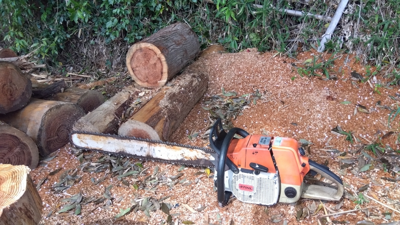 STIHL 084AV 動作確認 - hd03800