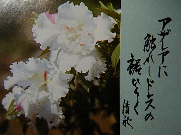 野村正育とは テレビの人気 最新記事を集めました はてな