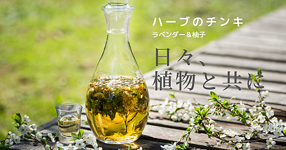 ハーブ チンキとは 人気 最新記事を集めました はてな