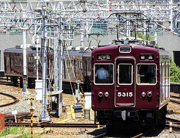 正雀とは 地理の人気 最新記事を集めました はてな