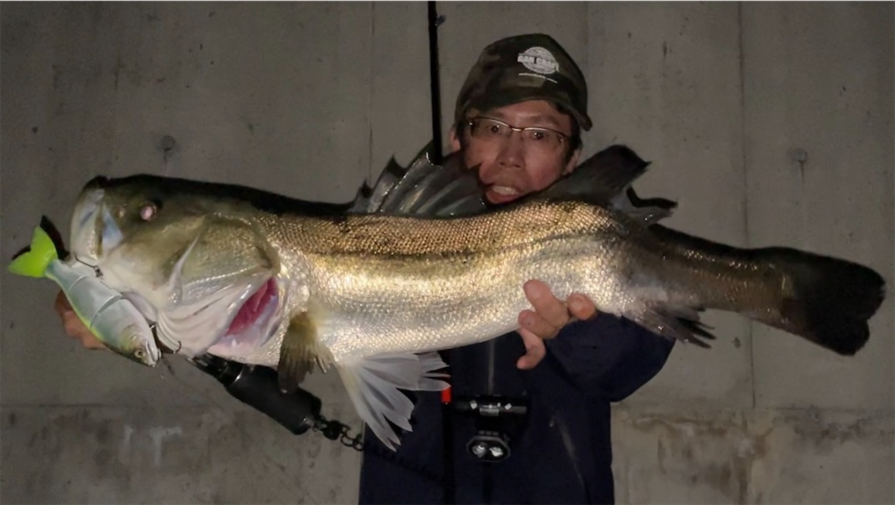 西尾店 ラチェット炸裂！ 三河湾 シーバス 釣果情報 ！ ～男の釣りの