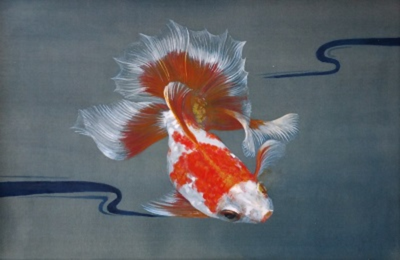 日本画 絹本の金魚できました - お絵描きeveryday