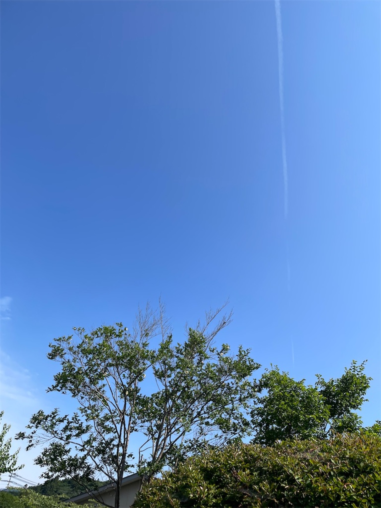 日曜日 今日も暑くなるんだってさ　 - ゆっこの独り言