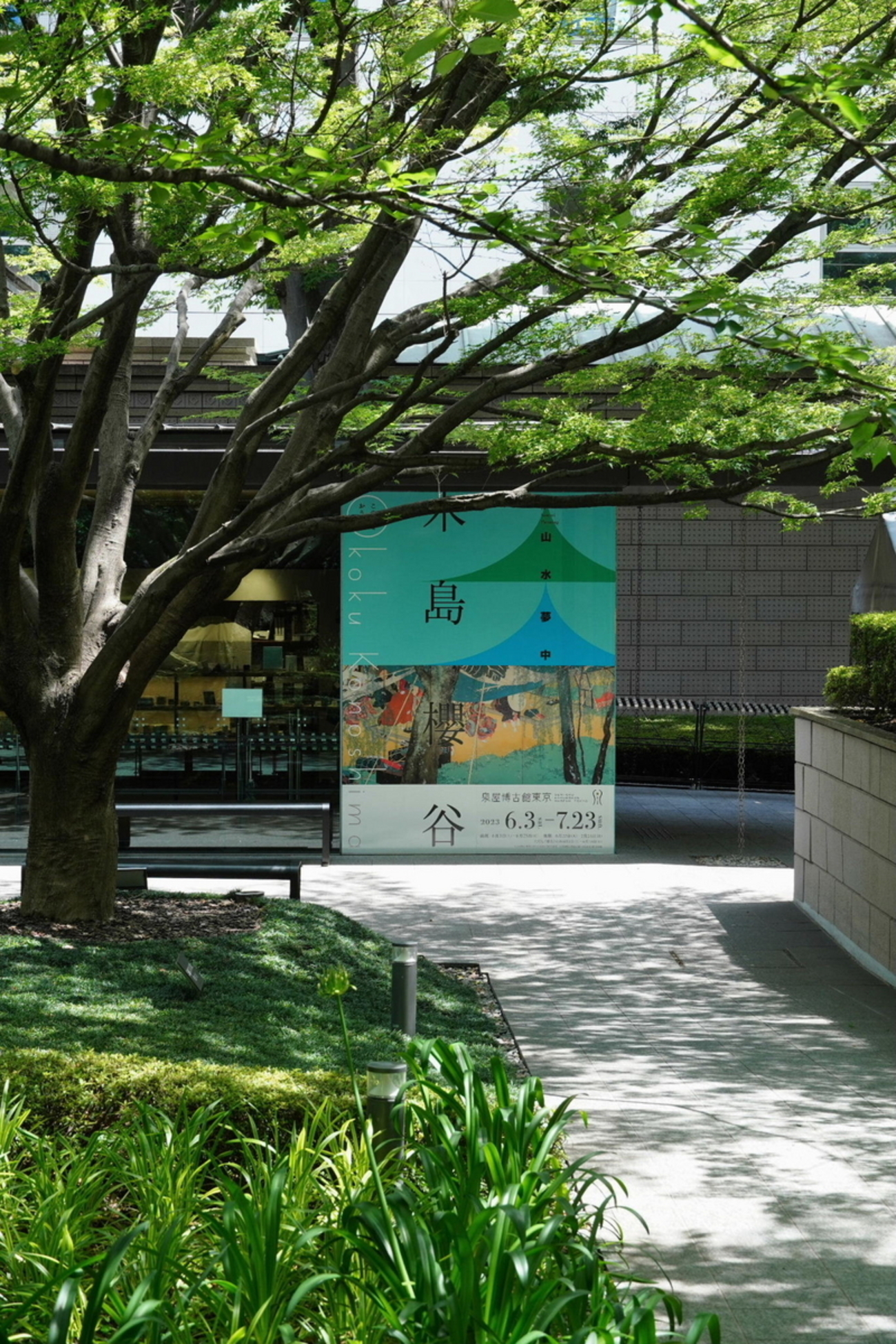 切花　紫陽花　ダズル　1本　サムライ2本 花さんぽ♯66 瀬田四丁目旧小坂緑地の紫陽花 - futakoloco