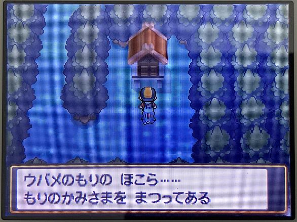 チコリータとは ゲームの人気 最新記事を集めました はてな チコリータとは ゲームの人気 最新記事を集めました はてな