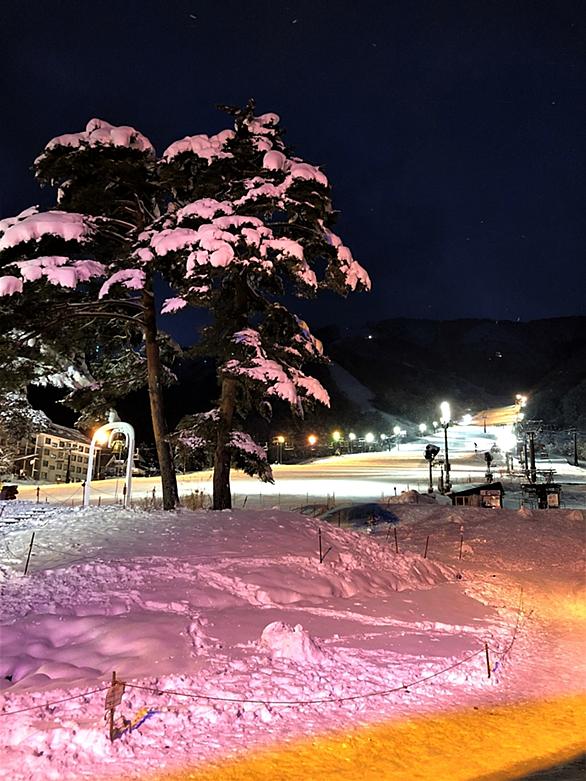 リゾートバイトとは 一般の人気 最新記事を集めました はてな