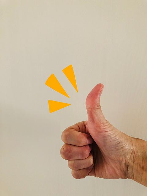 山口真由さんとは 人気 最新記事を集めました はてな