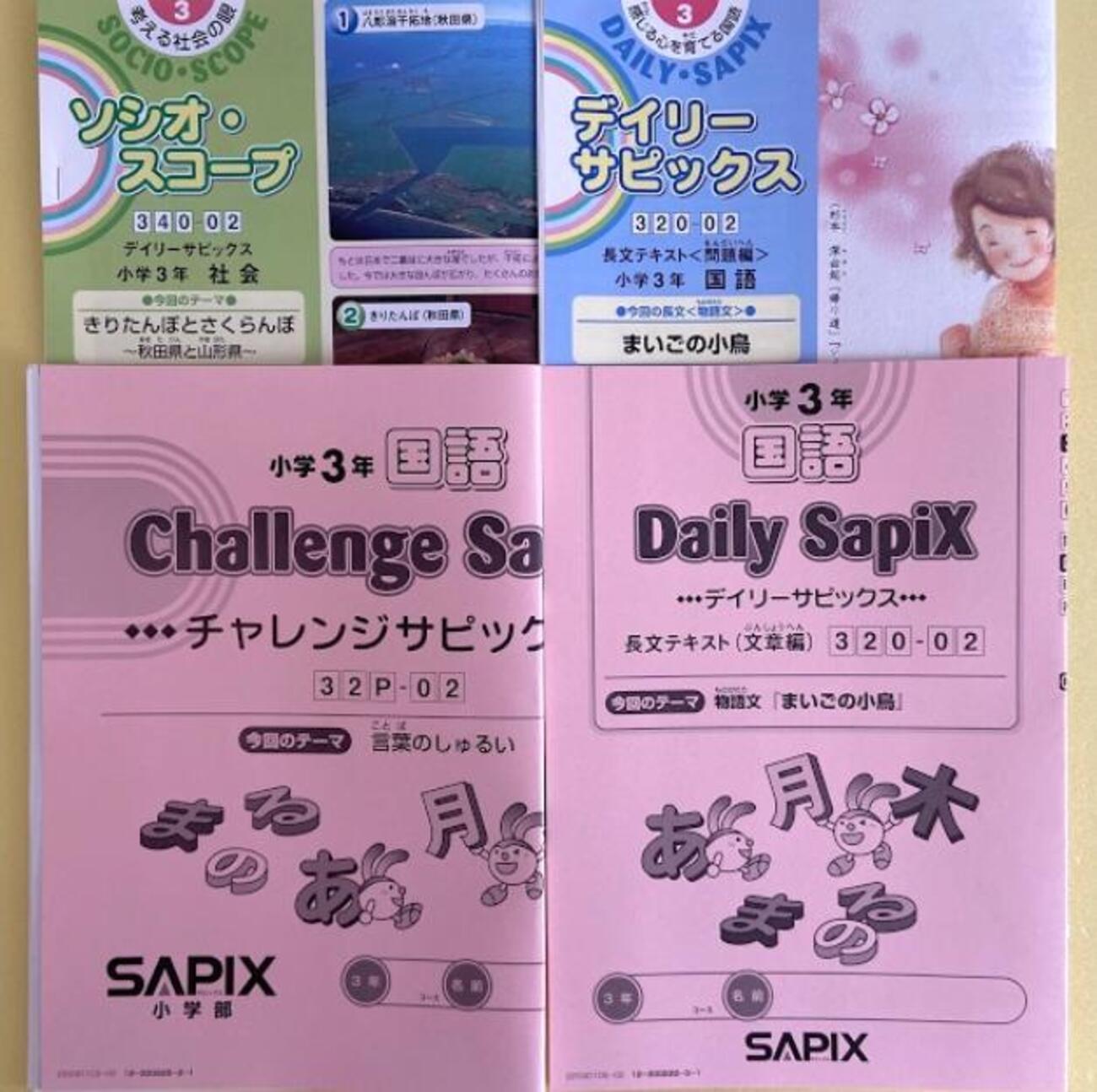 サピックス教材3年生と2年生の比較及び1年間を振り返り感じたこと 
