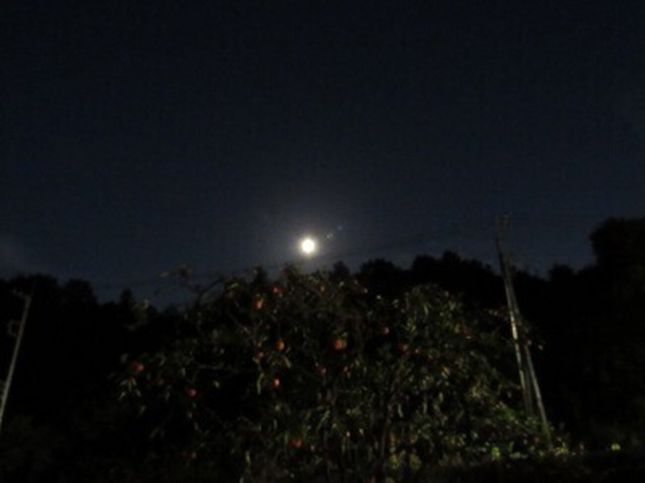今夜の月 - ど寒ブログ part2