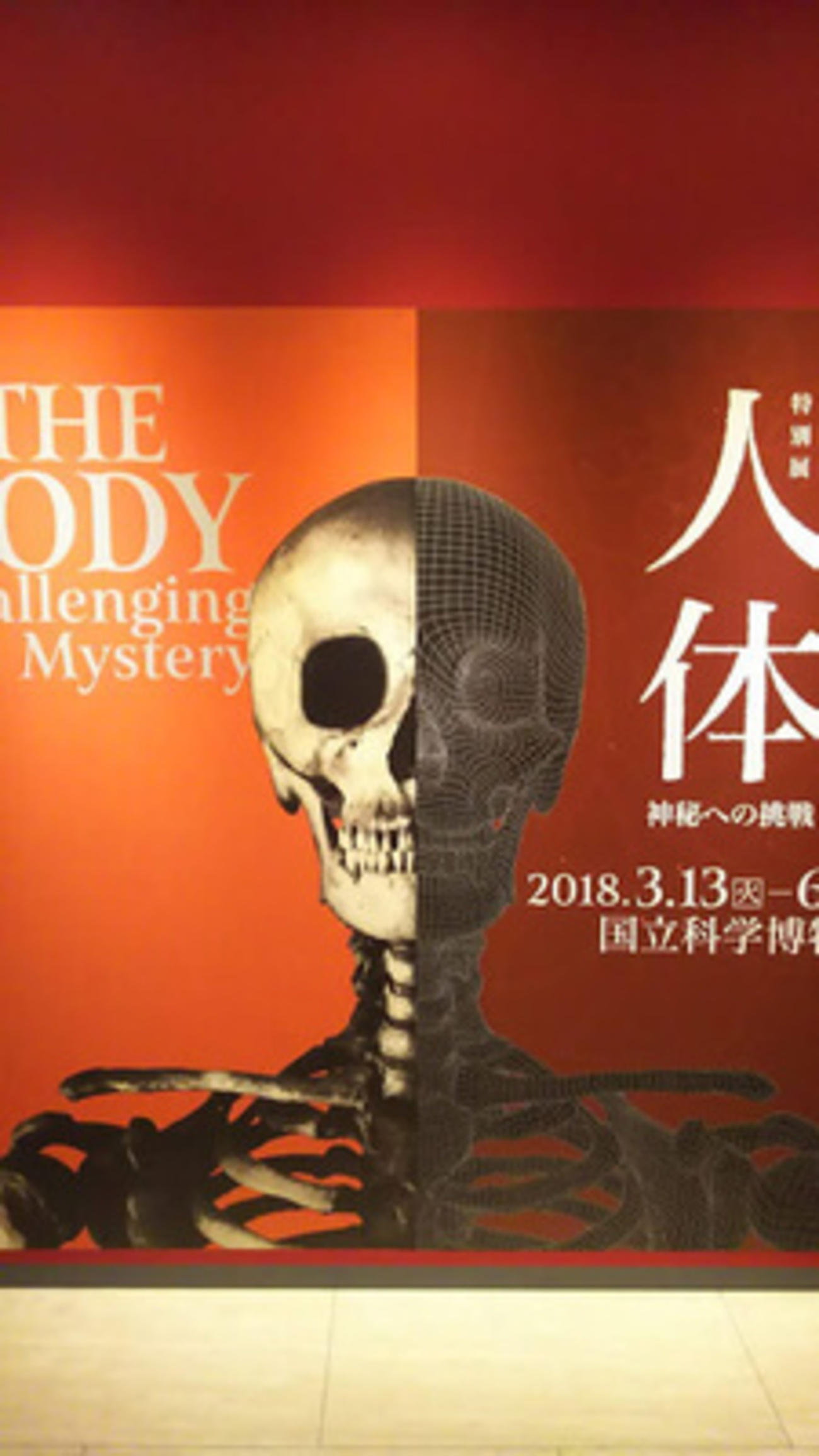 特別展 人体 神秘への挑戦/国立科学博物館/2018.05 - ユキシロ日記