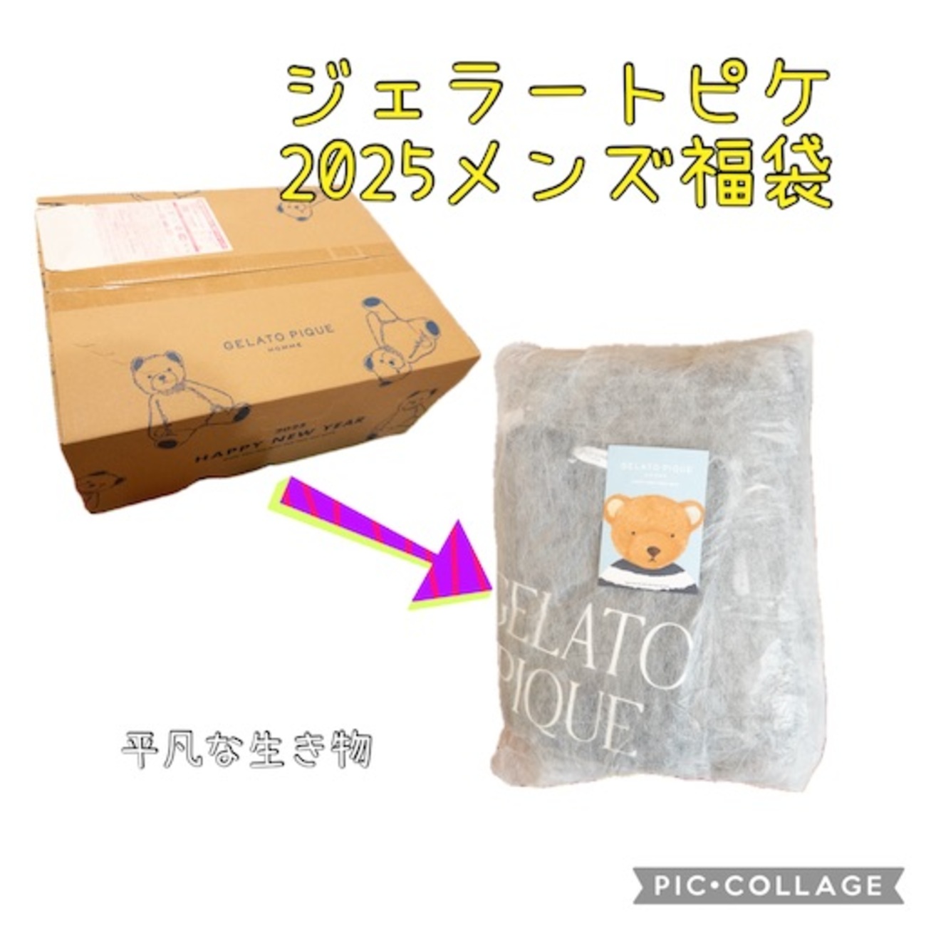2025福袋】ジェラートピケメンズ - 平凡な生き物