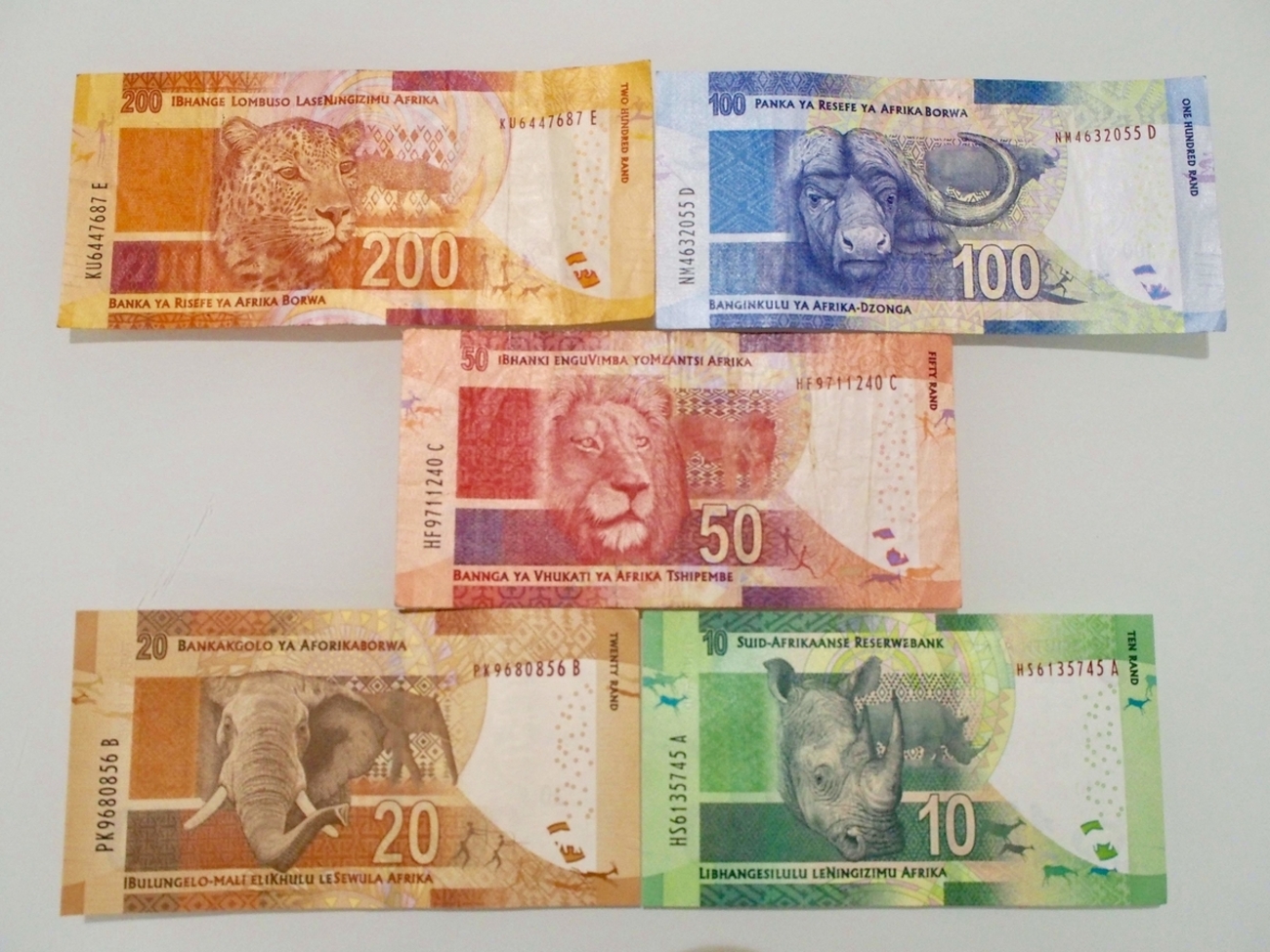 南アフリカ/情報】見れば見るほど面白い！？南アのお札について - みちしるべ