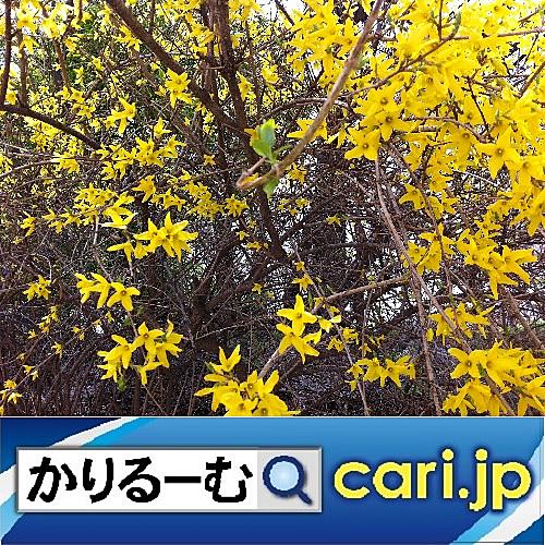 鈴木健一とは アニメの人気 最新記事を集めました はてな