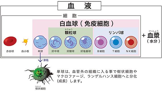 Nktとは 一般の人気 最新記事を集めました はてな