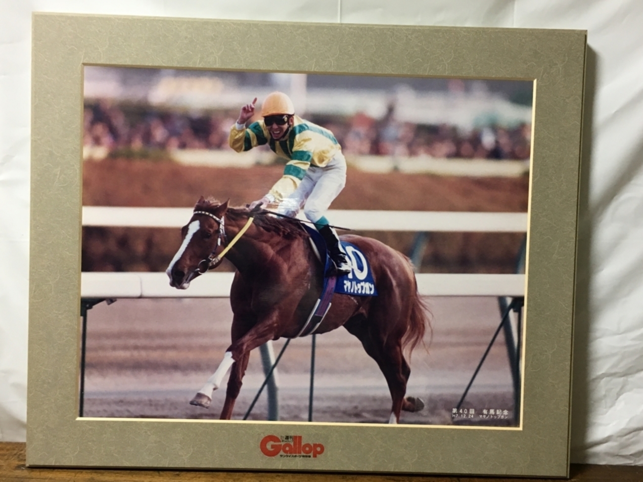 競馬パネル：マヤノトップガン「1995年:第40回有馬記念」』 - 白狸の考 