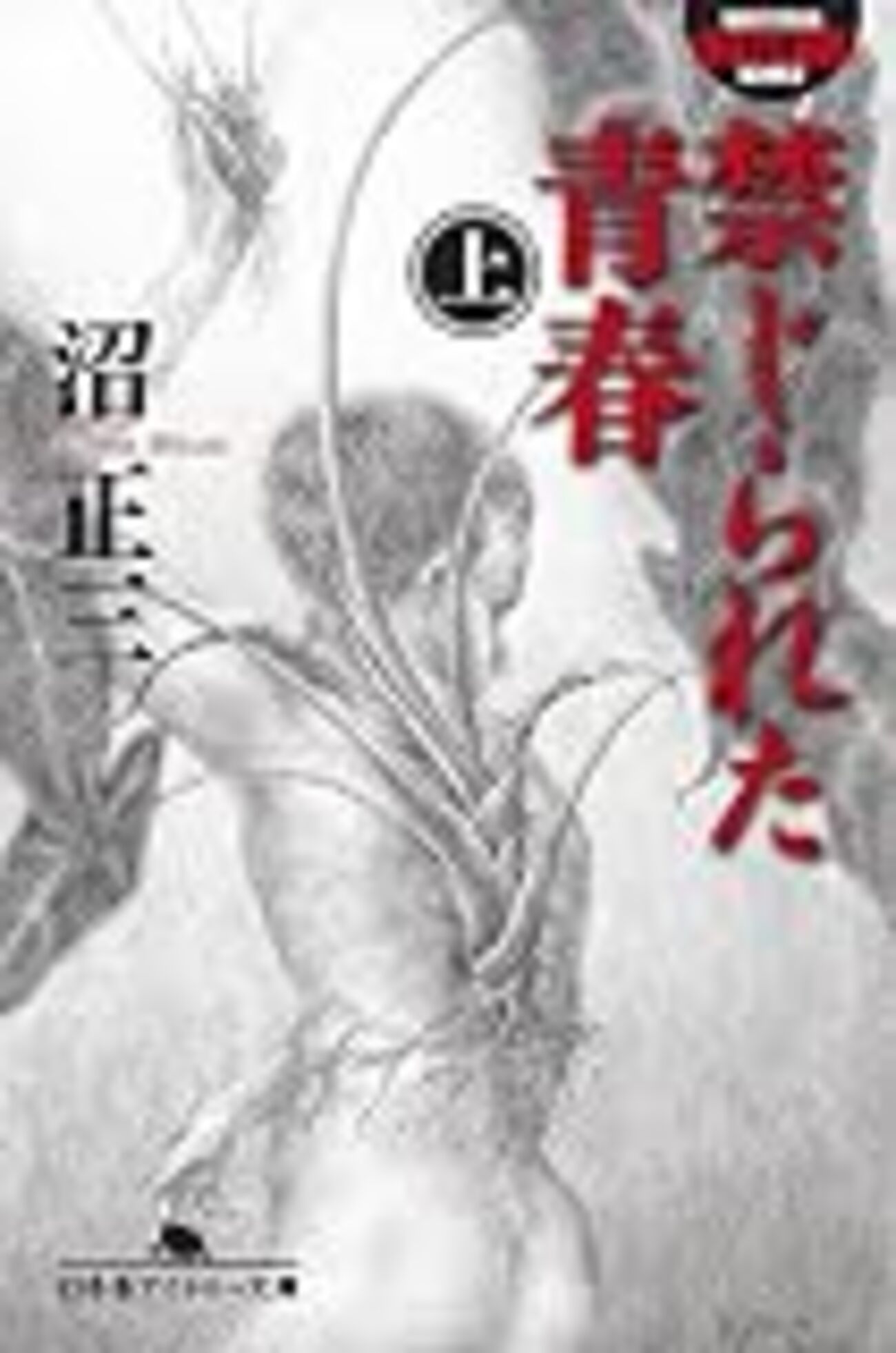 読了】沼正三『禁じられた青春（上）』幻冬舎アウトロー文庫 - 懐風堂日誌