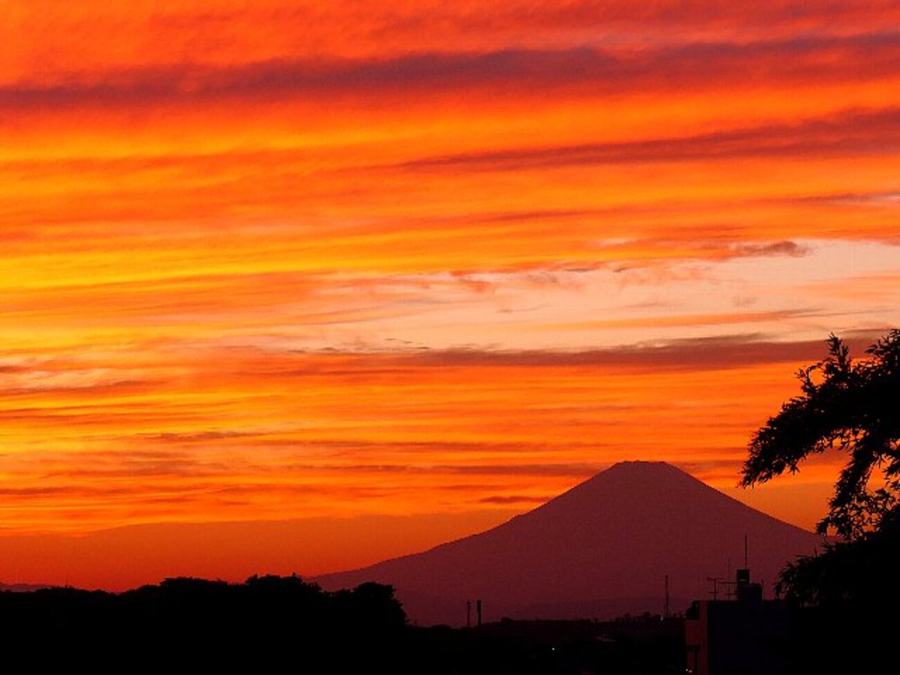 秋は夕暮れ～茜空と富士 - 庭先の四季
