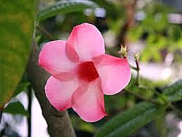 マンションの騒音 仕返しの方法 カテゴリーの記事一覧 マンションの騒音問題 解消方法を考えるブログ